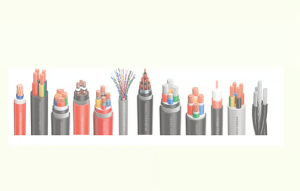 Read more about the article বিদ্যুৎ ও যোগাযোগ খাতে ১২ ধরনের কেবল উন্মোচন করল আকিজবশির গ্রুপ