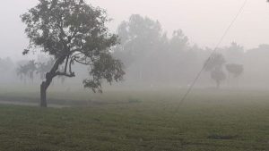 Read more about the article টানা ৫ দিন দেশের সর্বনিম্ন তাপমাত্রার শীর্ষে পঞ্চগড়