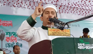 Read more about the article পঞ্চগড়ে সারজিসের পক্ষে মাঠে ইসলামী আন্দোলন