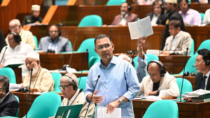 Read more about the article ঢাকাকে ‘ক্লিন-গ্রিন’ শহর গড়তে প্রধানমন্ত্রীর বহুমুখী পরিকল্পনা